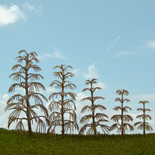 model trees